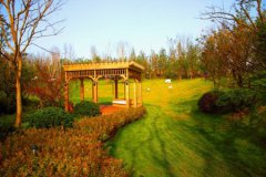 �L���@�־��^�OӋ����Ҫʲô�Y�|����Ҫ������Щ