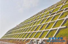 �������Ҫʲô�Y�|��������Y�|����Щ