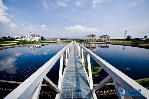 �h�����̌��I�а��Y�|������������Ҫ��Щ�ˆT