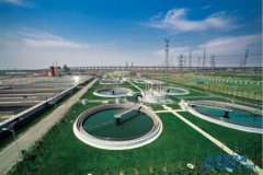 �h�����̌��I�а��Y�|������һ��Ҫ����Σ�