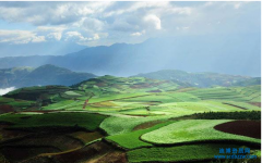 ��Ⱦ�ޏ�(f��)�����O(sh��)Ӌ(j��)�Y�|(zh��)��Ҫ�����Щ�ˆT