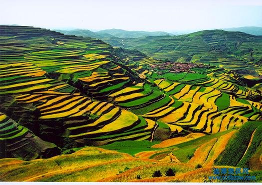 ˮ�������OӋ�Y�|��Ҫ��Щ�ˆT���C��