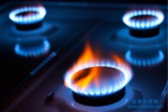 �k�����ȼ���OӋ�Y�|ע�����