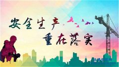 ��ȫ���a�S���C���kע�����