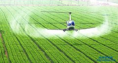 �r���ИI�����OӋ�Y�|�˜ʸ���