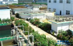 �h�������Y�|�D׌���Գа���Щ����