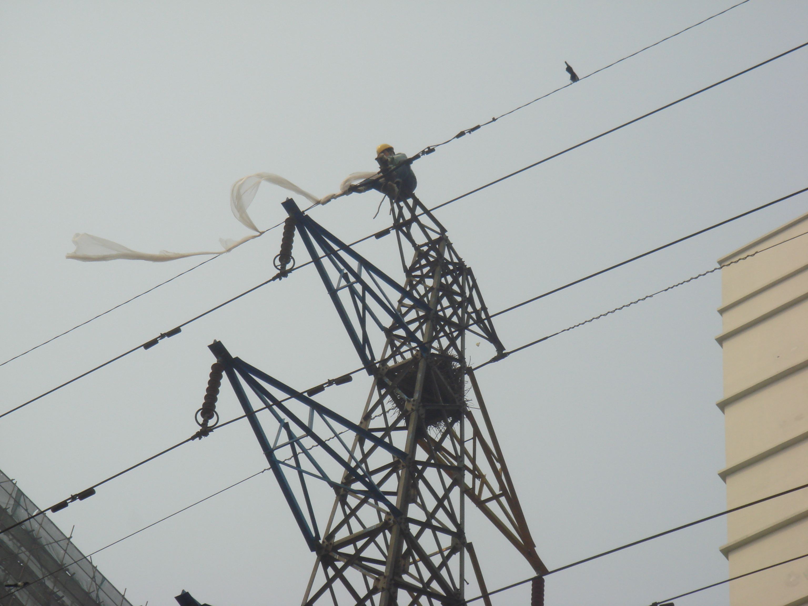 �k��������̿��а������Y�|��Ҫʲô�l��