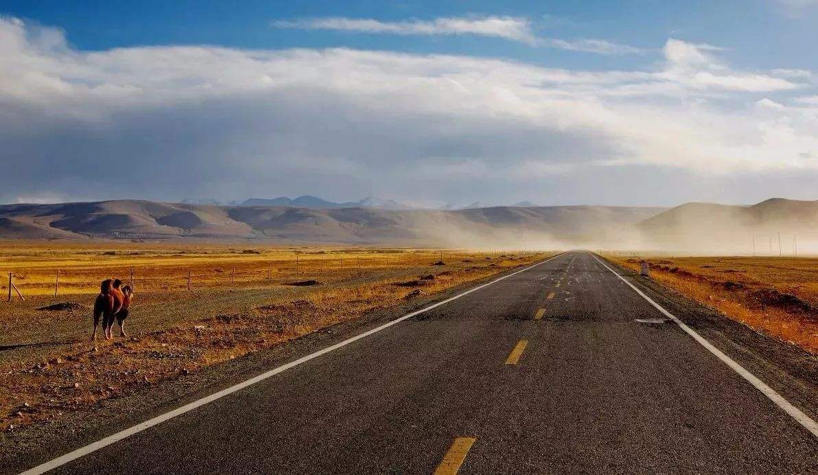 ��·�����Y�|�����������ˆT���I��Ҫ��