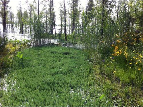 �h�������Y�|