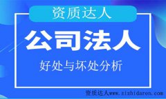 公司法人的好處和壞處有哪些